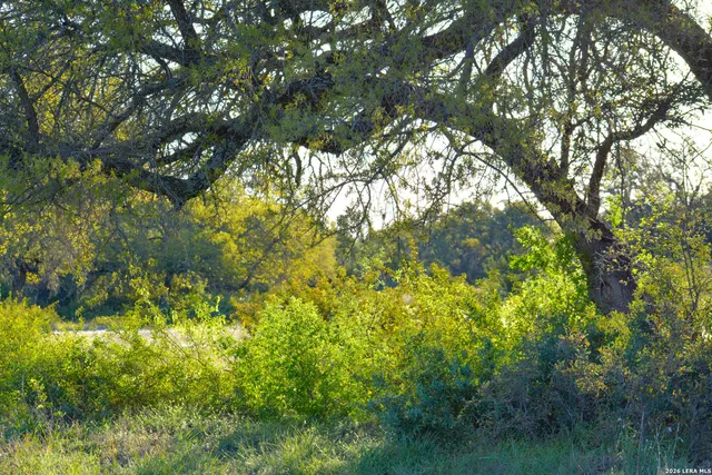 $989,000 | 482 Wingert Road, Junction, TX 76849