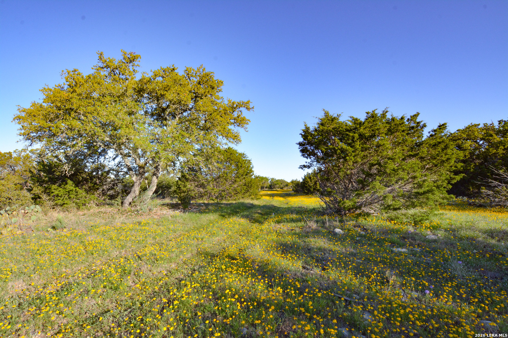 482 Wingert Road Junction, TX 76849 - Photo 52 of 63