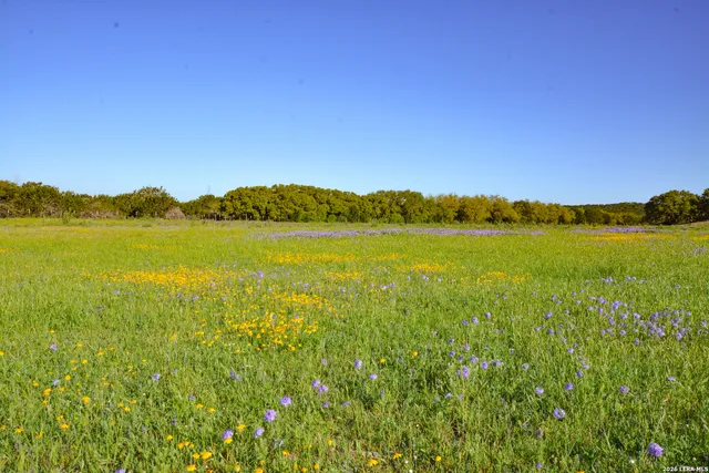 $989,000 | 482 Wingert Road, Junction, TX 76849