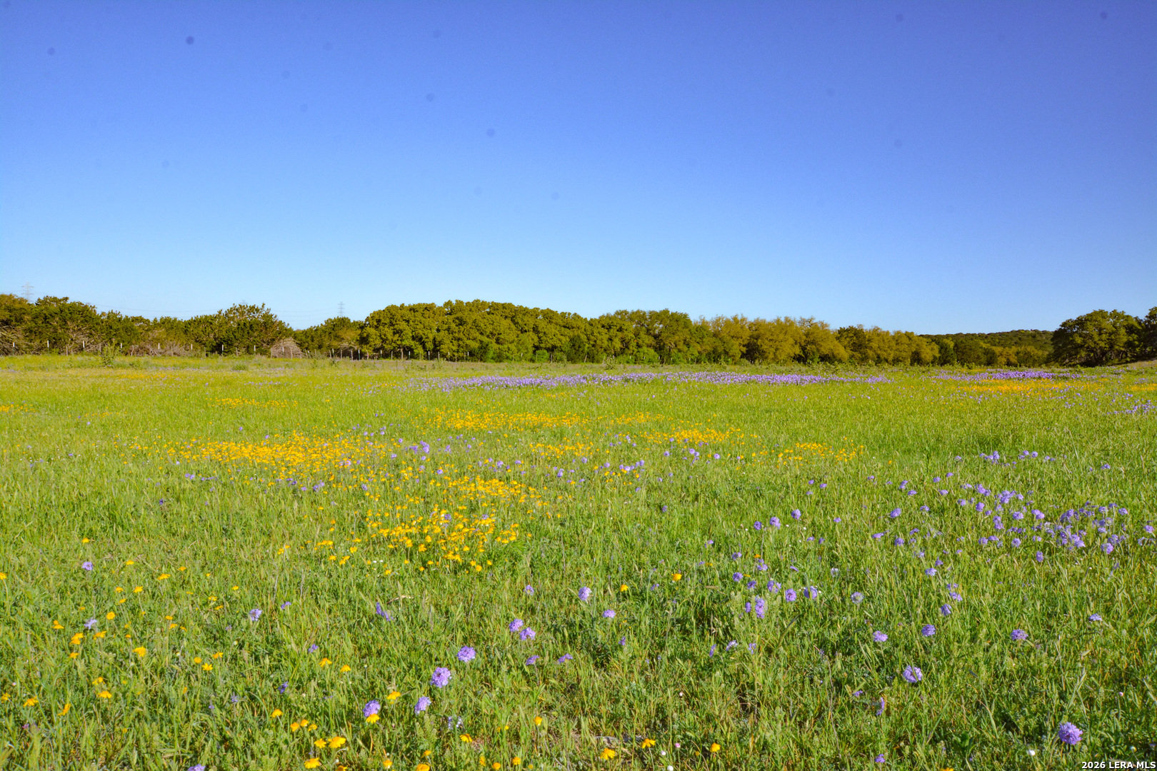 482 Wingert Road Junction, TX 76849 - Photo 59 of 63