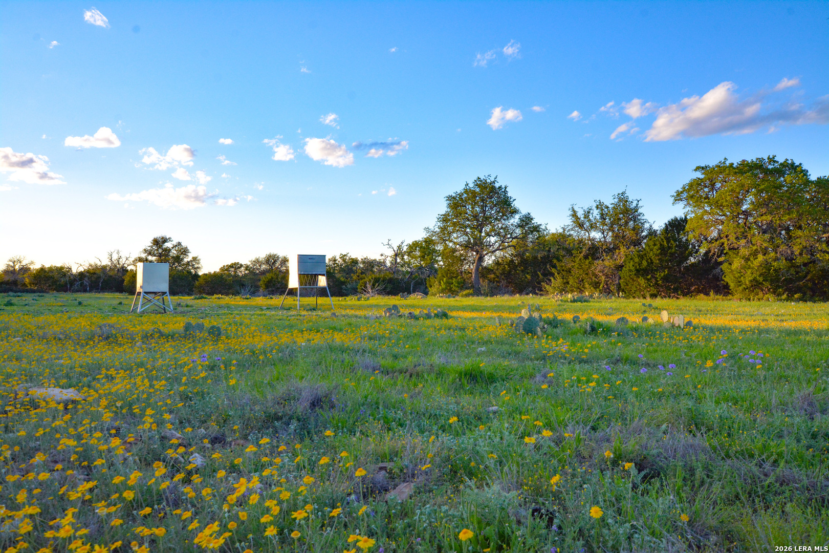 482 Wingert Road Junction, TX 76849 - Photo 7 of 63