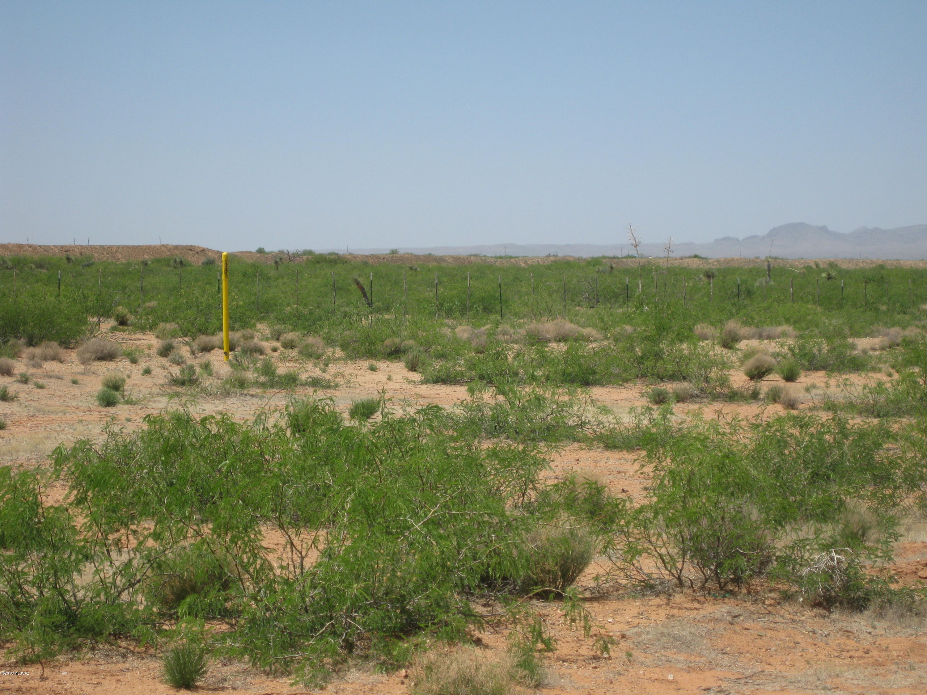 West Roberts Farm Road Bowie, AZ 85605 - Photo 5 of 8