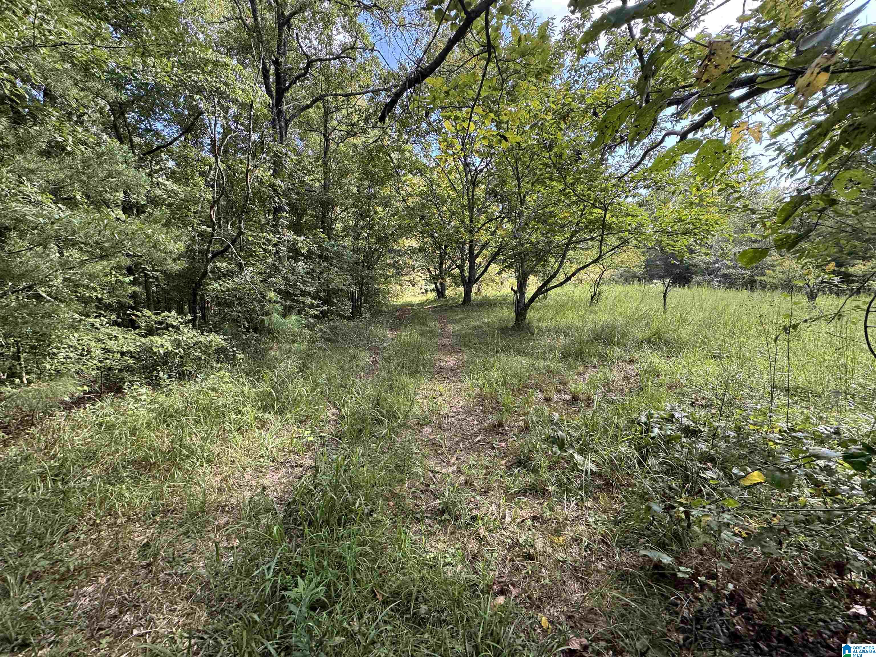 20394 County Road 55 Sterrett, AL 35147 - Photo 21 of 43