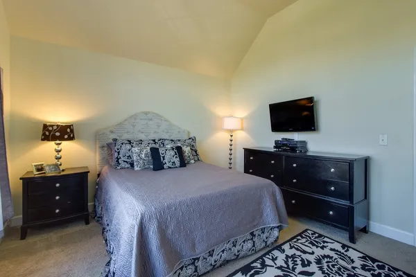 a bedroom with a bed and a tv
