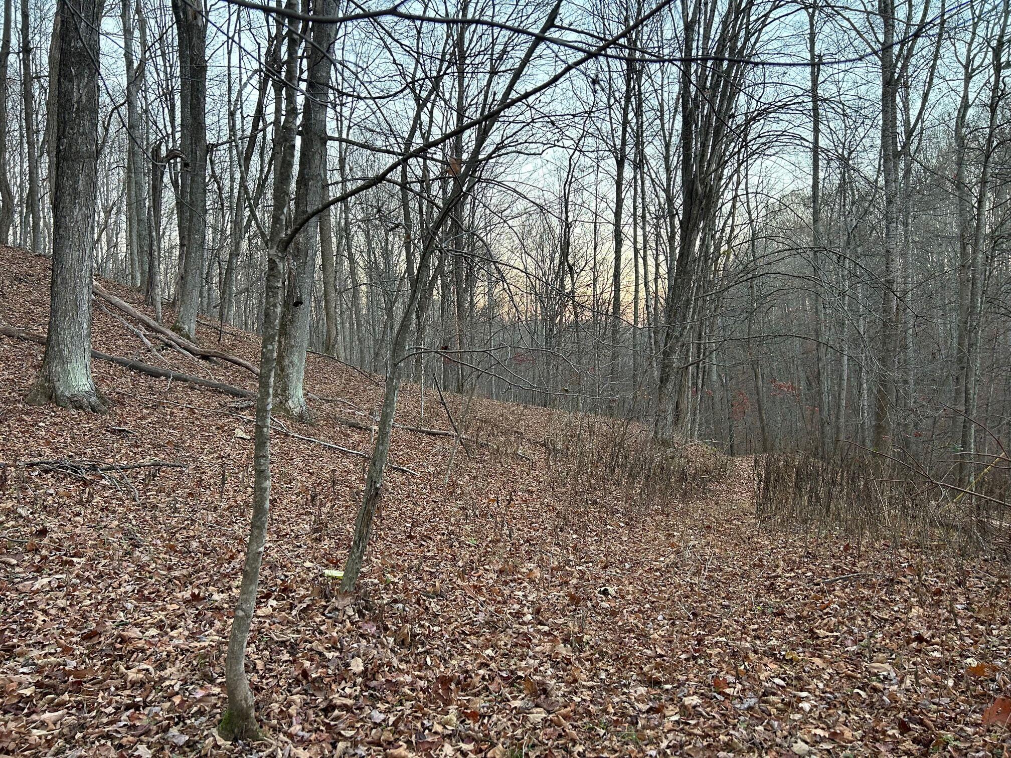 Dale Hollow Road Renick, WV 24966 - Photo 5 of 17 Gallery Image 5