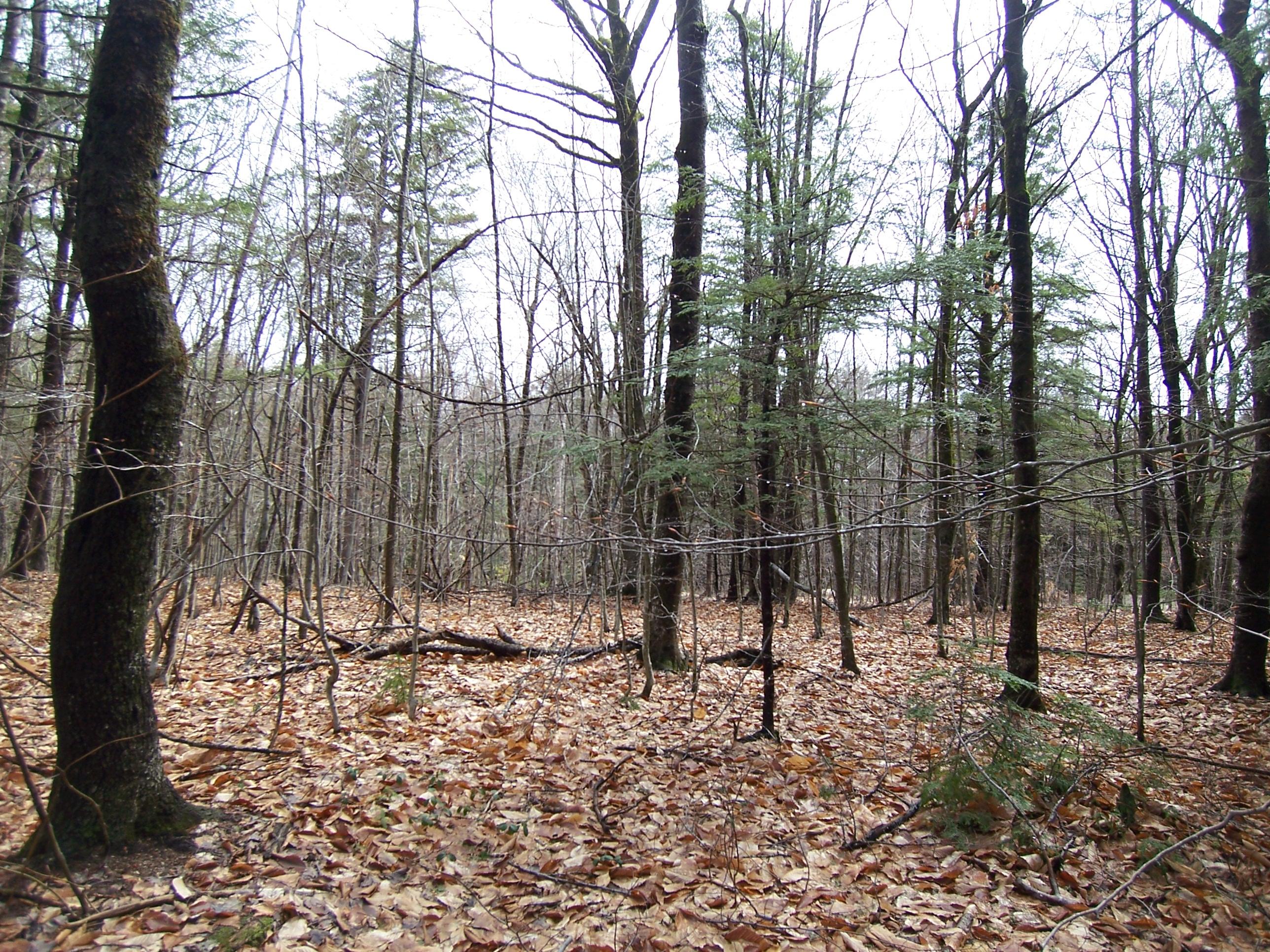 14-2 Shore Road Otisfield, ME 04270 - Photo 13 of 16 105_5905