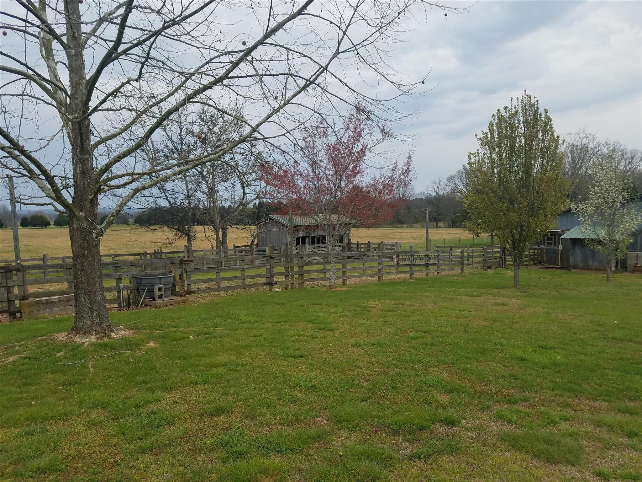 5641 Bethel Road Pulaski, TN 38478 - Photo 44 of 63 a view of a park