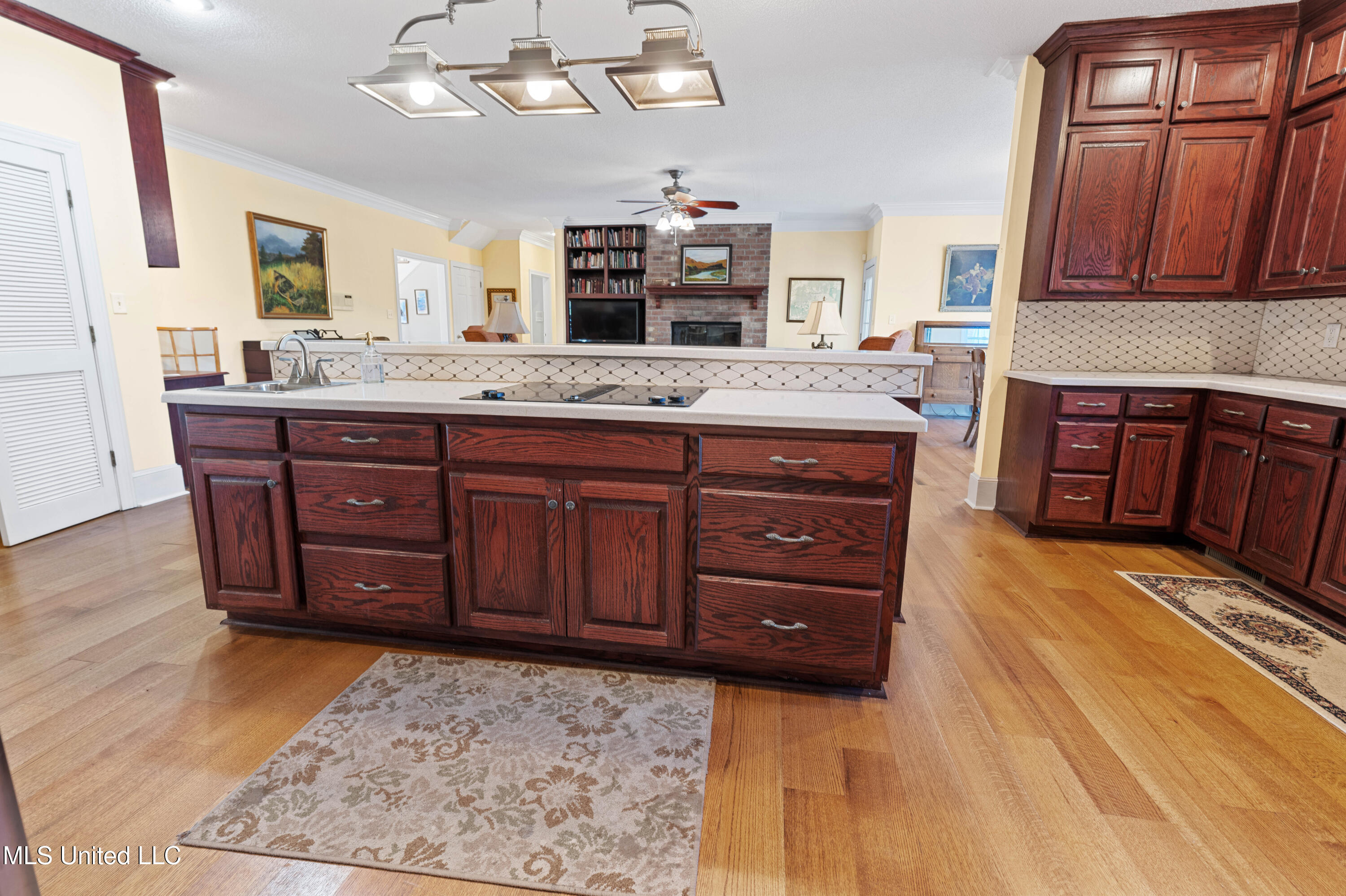 556 Thomas Road Holly Springs, MS 38635 - Photo 21 of 61 556 Thoams Rd Reize_-33