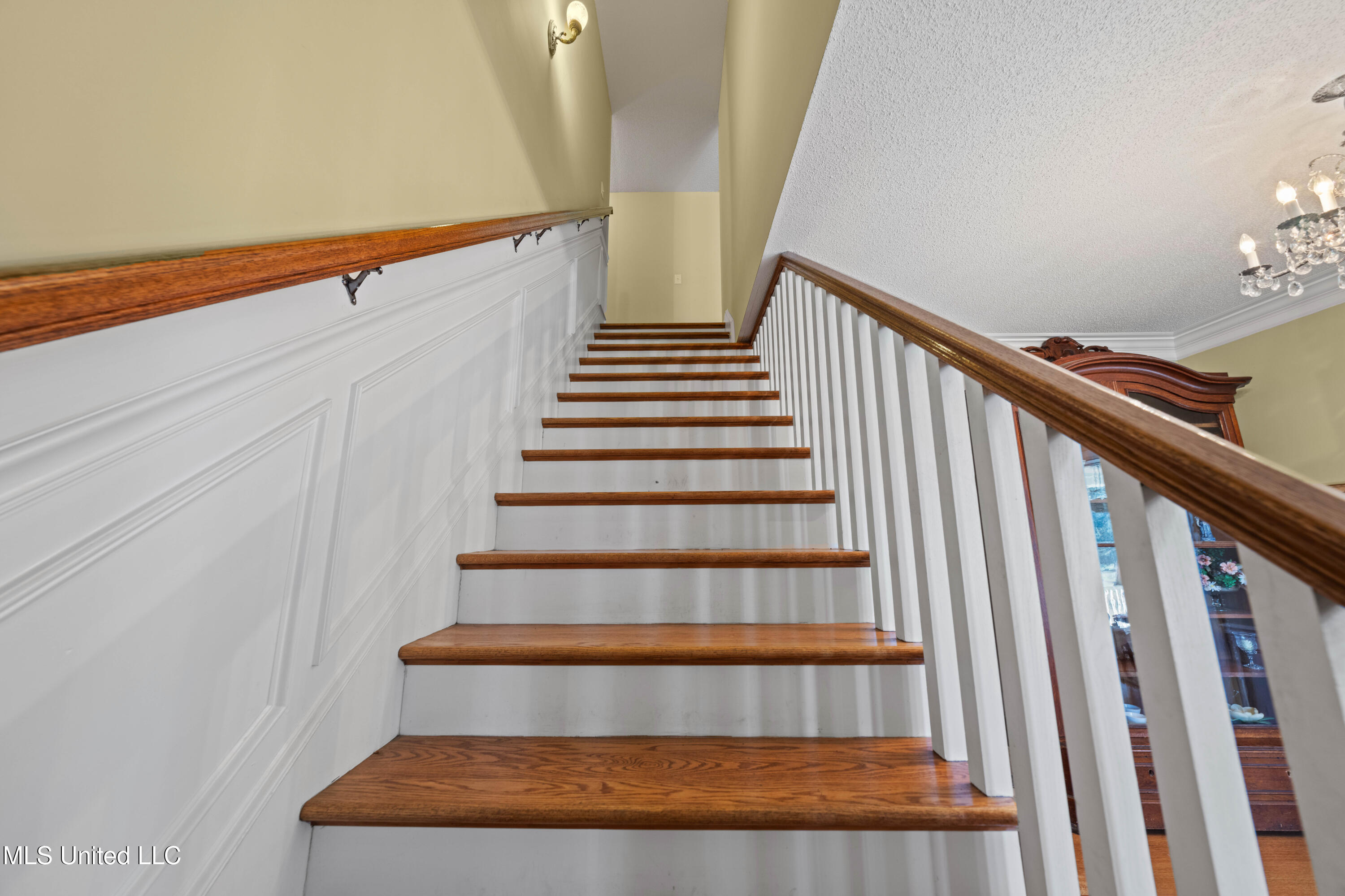 556 Thomas Road Holly Springs, MS 38635 - Photo 46 of 61 556 Thoams Rd Reize_-57