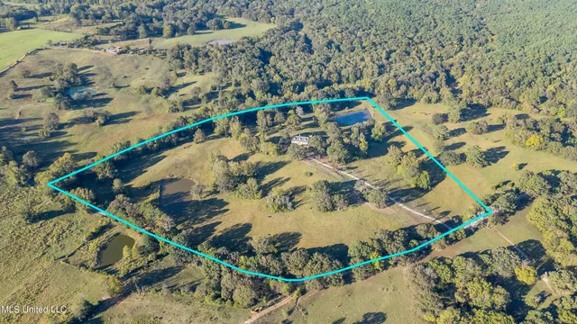 $749,000 | 556 Thomas Road, Holly Springs, MS 38635