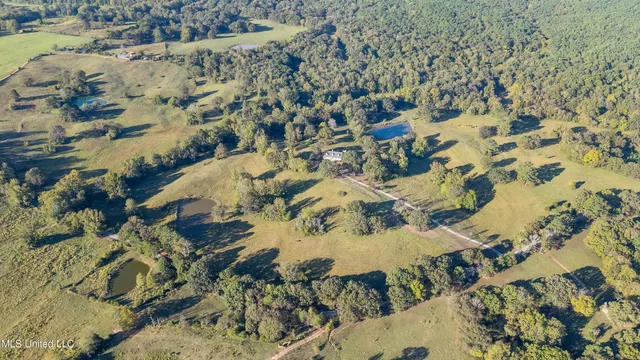 $749,000 | 556 Thomas Road, Holly Springs, MS 38635