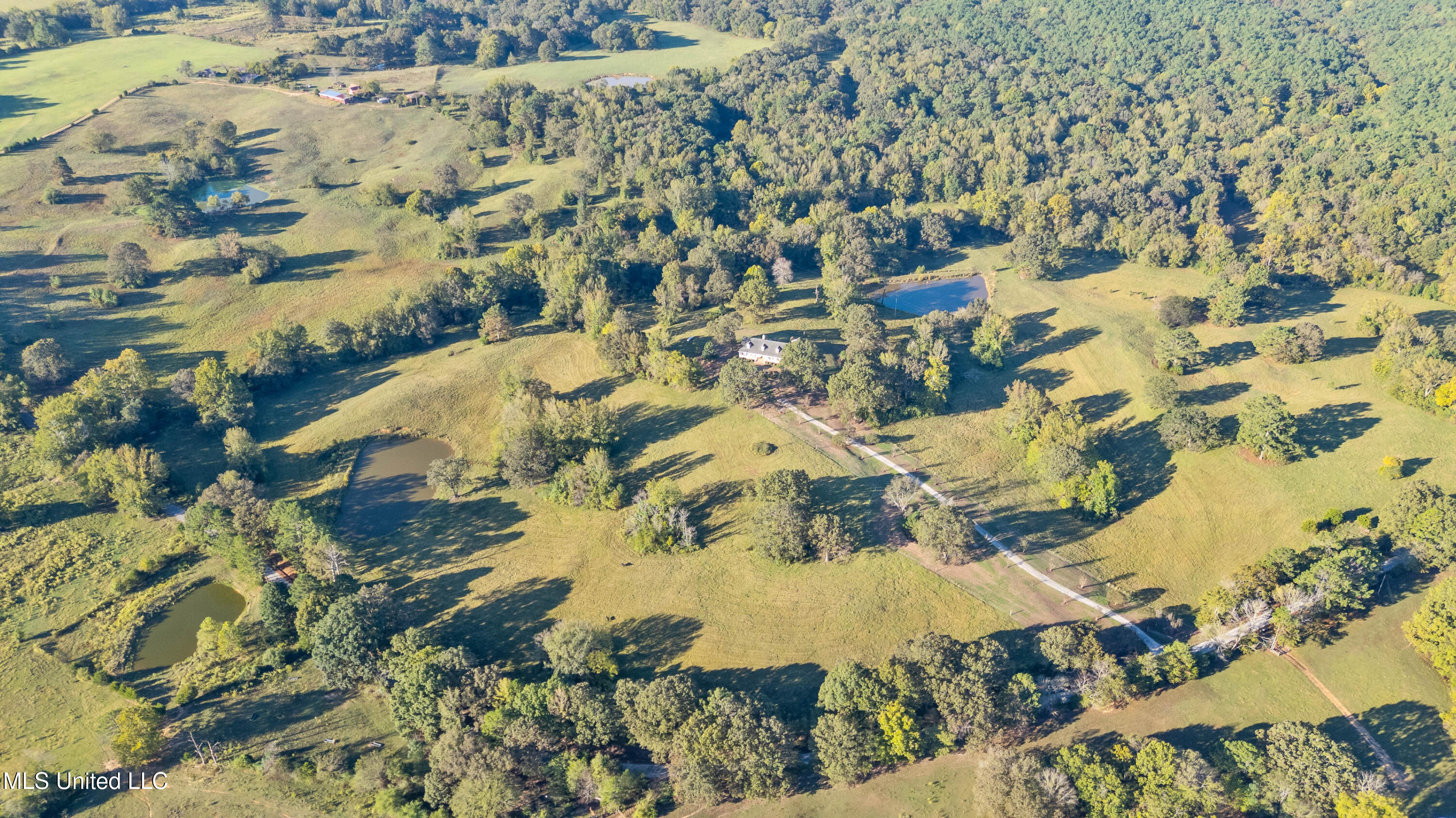 556 Thomas Road Holly Springs, MS 38635 - Photo 61 of 61 556 Thoams Rd Reize_-8