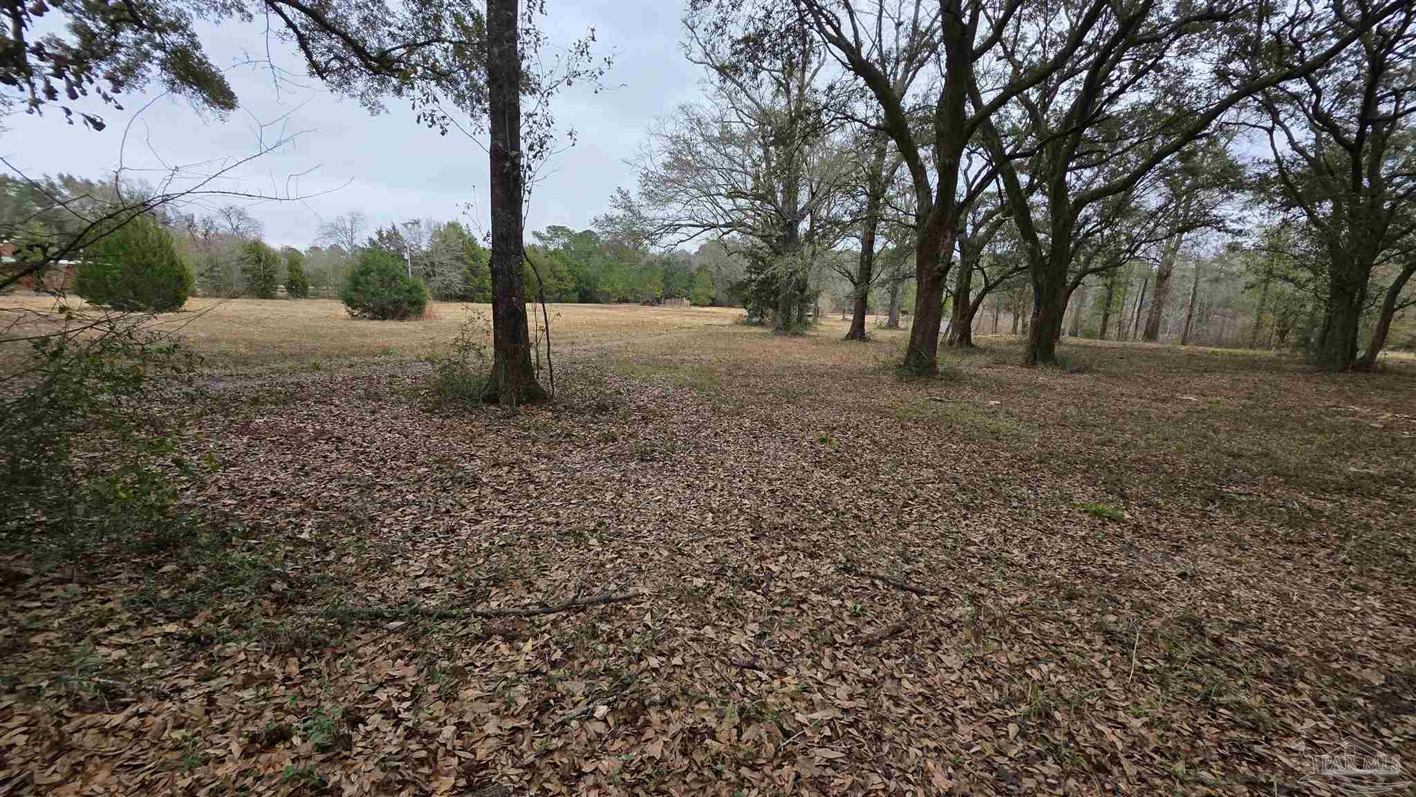 Lot 2 Tidwell Road Pace, FL 32571 - Photo 6 of 14