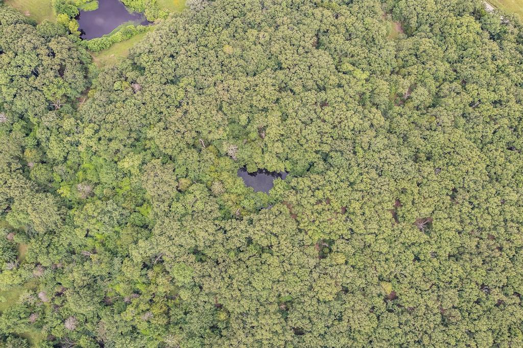 11230-11229 Rand Road Kaufman, TX 75142 - Photo 23 of 25