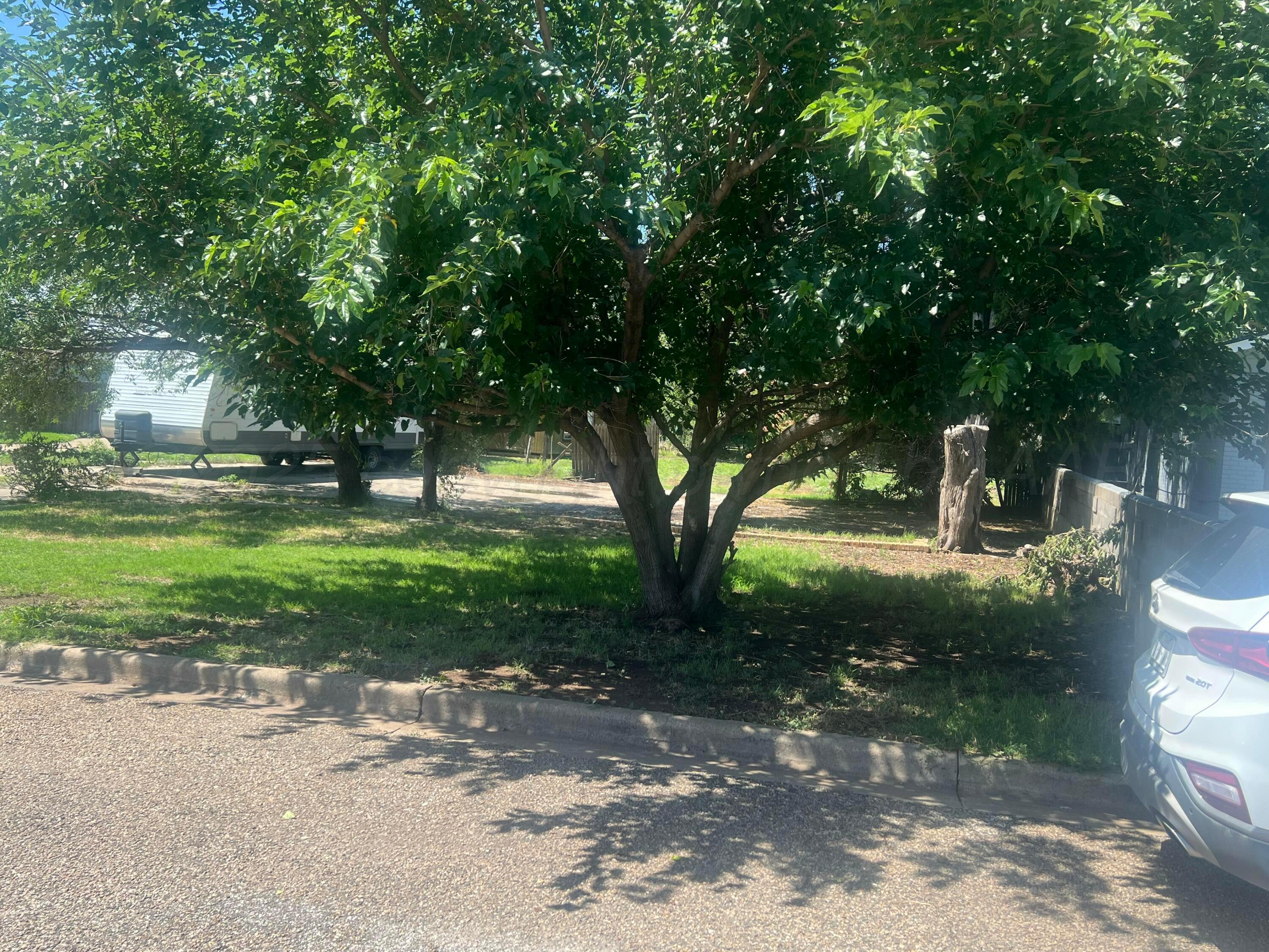 426 Santa Fe Street Borger, TX 79007 - Photo 3 of 3 a view of a park with large trees