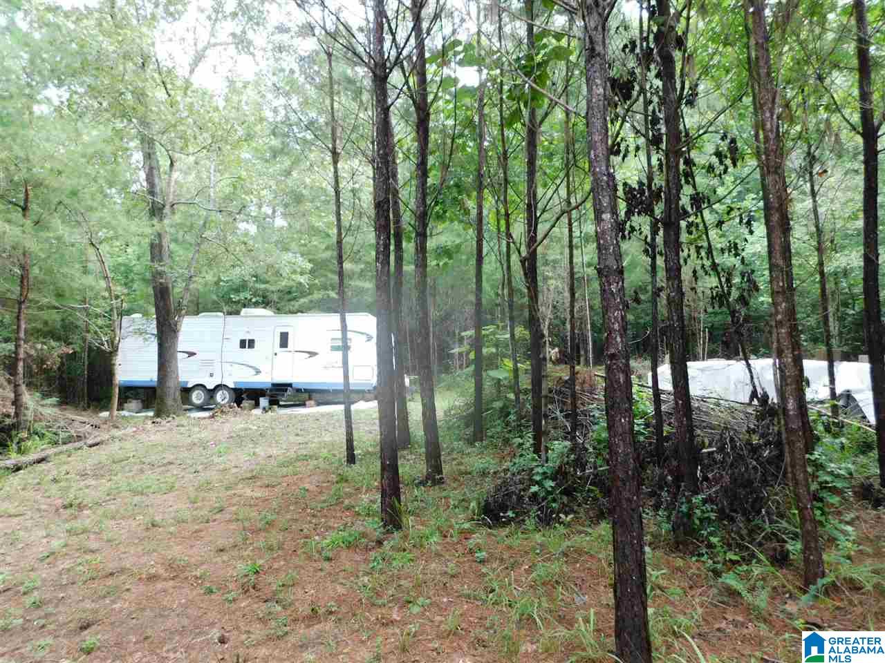 133 County Road, Unit 2 & 3 Empire, AL 35063 - Photo 11 of 15