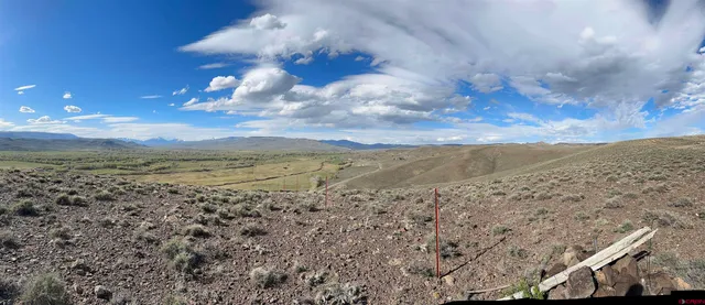 a view of a dry yard with wooden fence