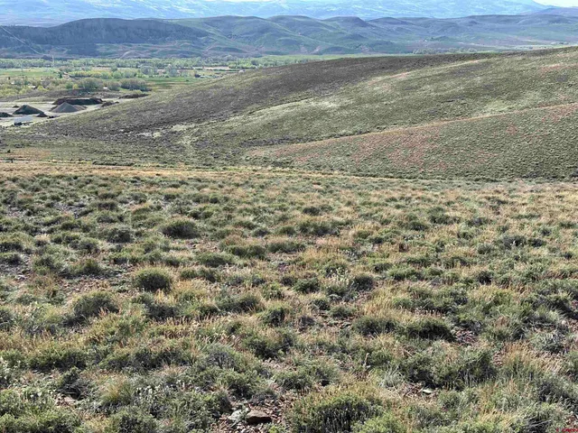 a view of a field with an ocean beach