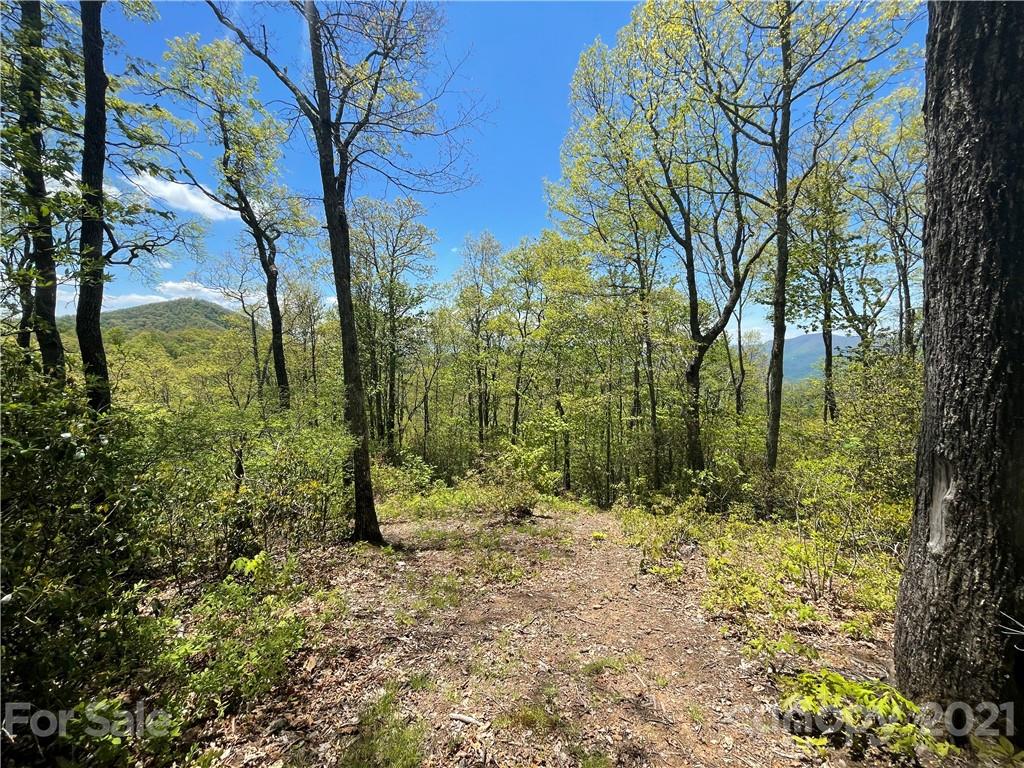 148 Preserve Road, Unit 148 Sylva, NC 28779 - Photo 1 of 11 a view of outdoor space and trees