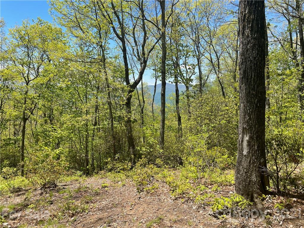 148 Preserve Road, Unit 148 Sylva, NC 28779 - Photo 3 of 11