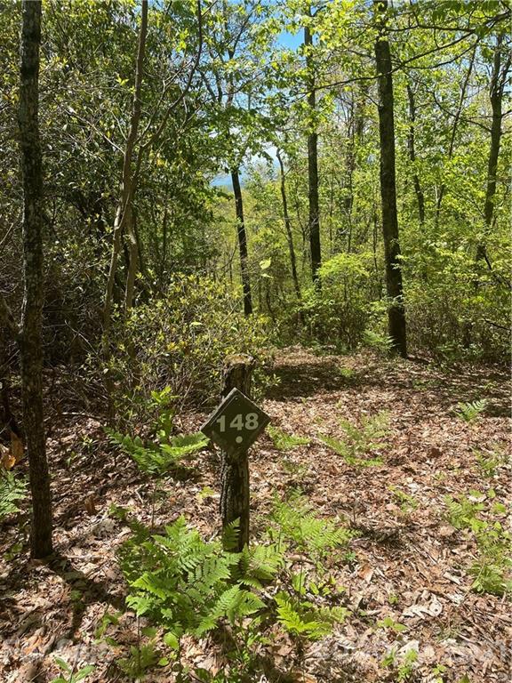 148 Preserve Road, Unit 148 Sylva, NC 28779 - Photo 4 of 11 a view of outdoor space and a yard