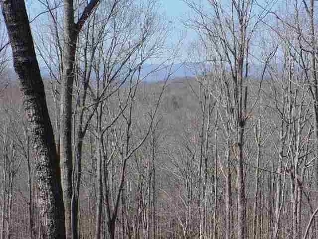 M Sweet Gum Valley Road Travelers Rest, SC 29690 - Photo 1 of 3 Gallery Image 1