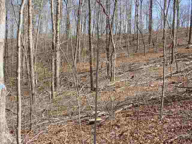 M Sweet Gum Valley Road Travelers Rest, SC 29690 - Photo 2 of 3 Gallery Image 2