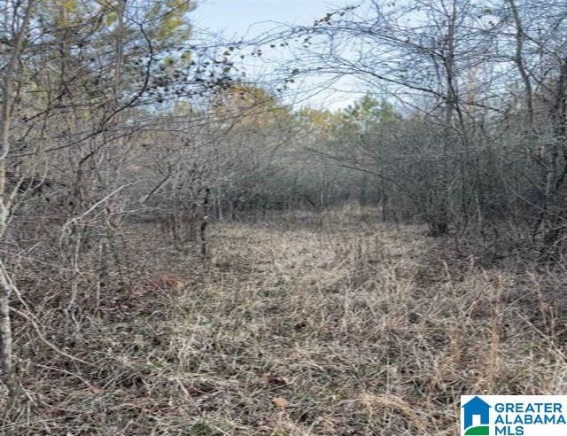 0 Highway 231, Unit 1 Vincent, AL 35178 - Photo 4 of 6