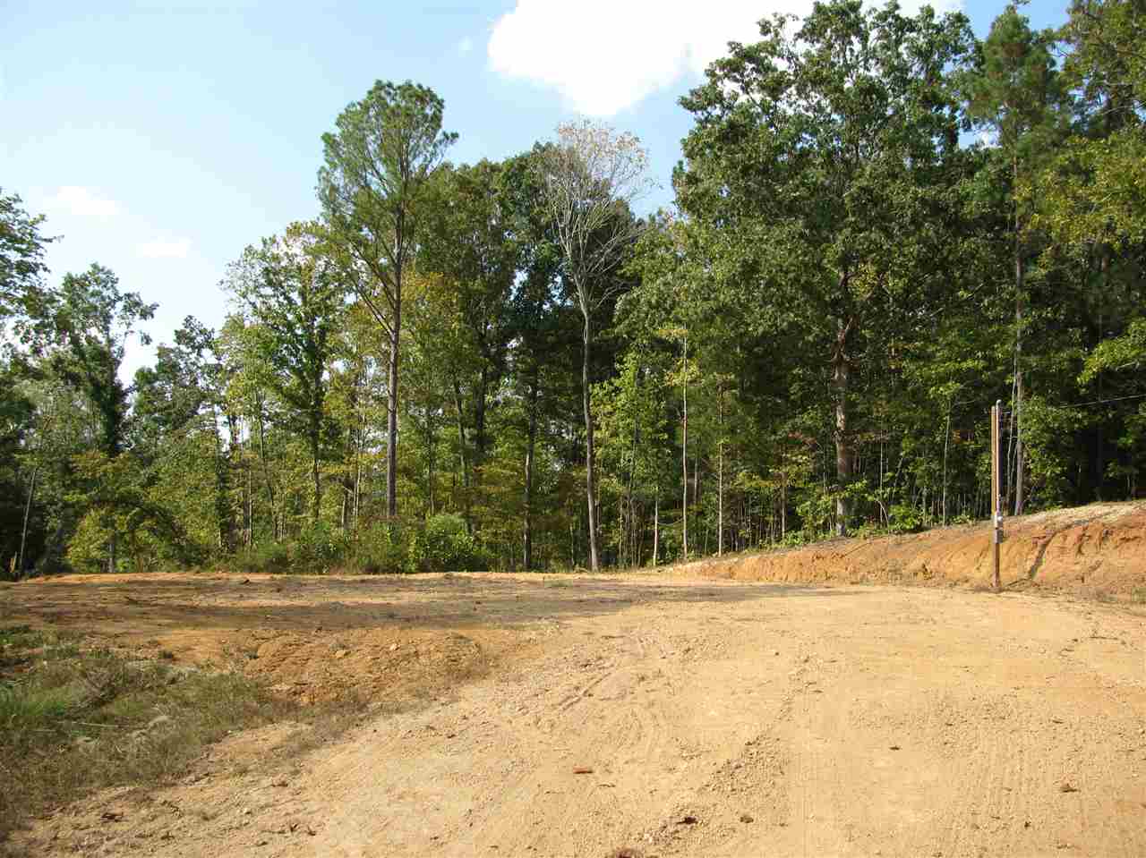 1 Center Point Road North Reagan, TN 38368 - Photo 1 of 22