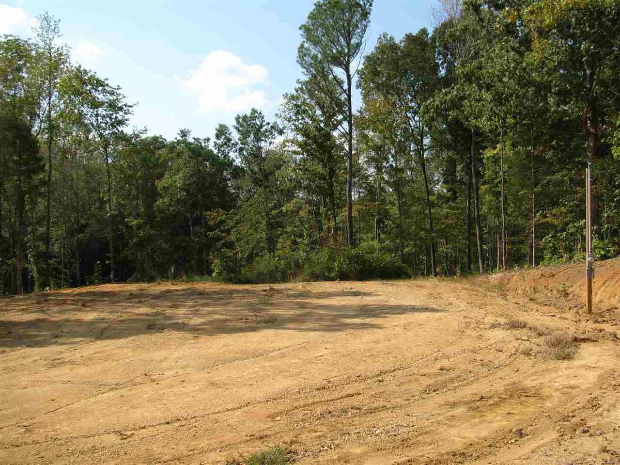 1 Center Point Road North Reagan, TN 38368 - Photo 2 of 22