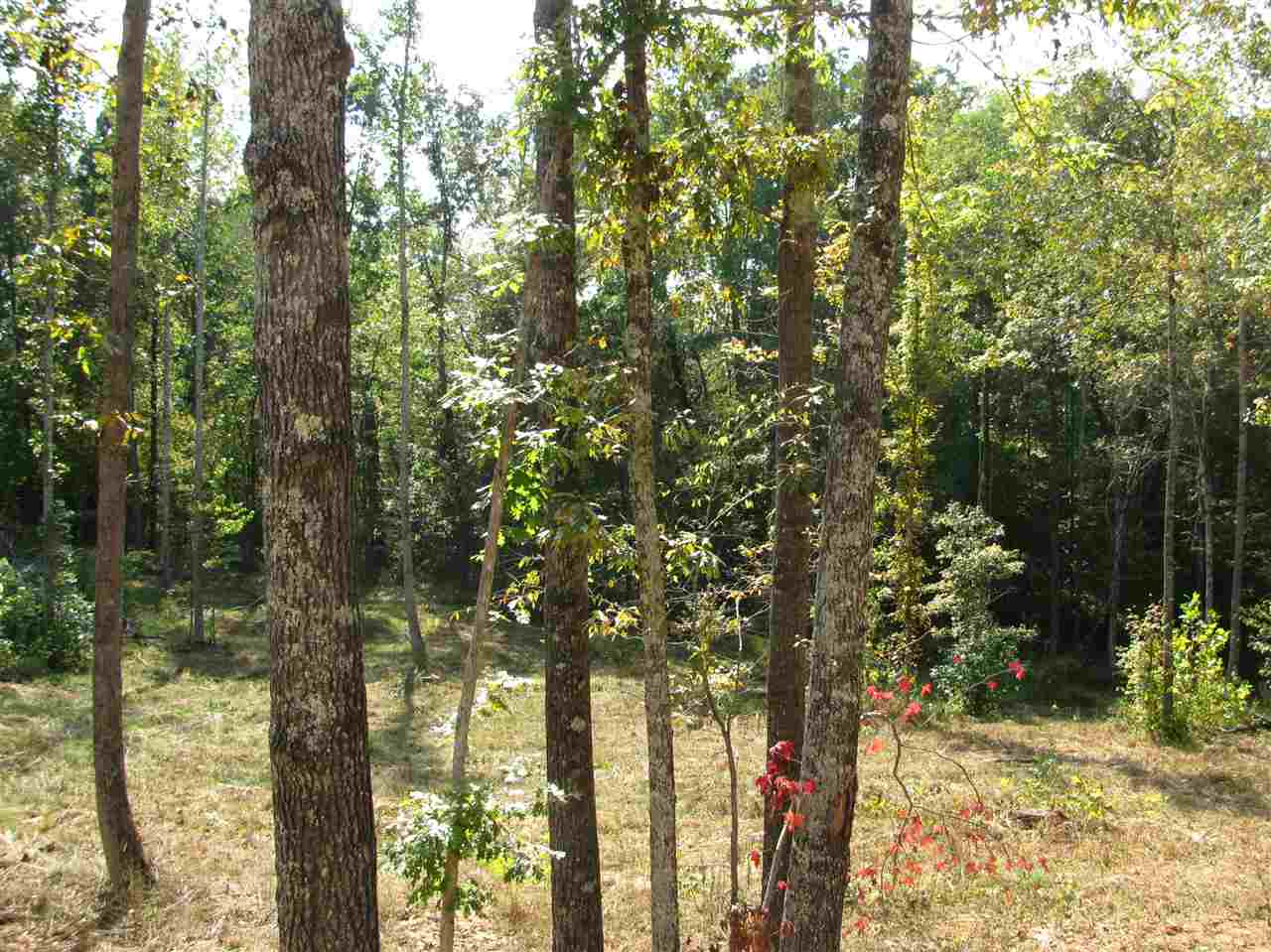 1 Center Point Road North Reagan, TN 38368 - Photo 11 of 22