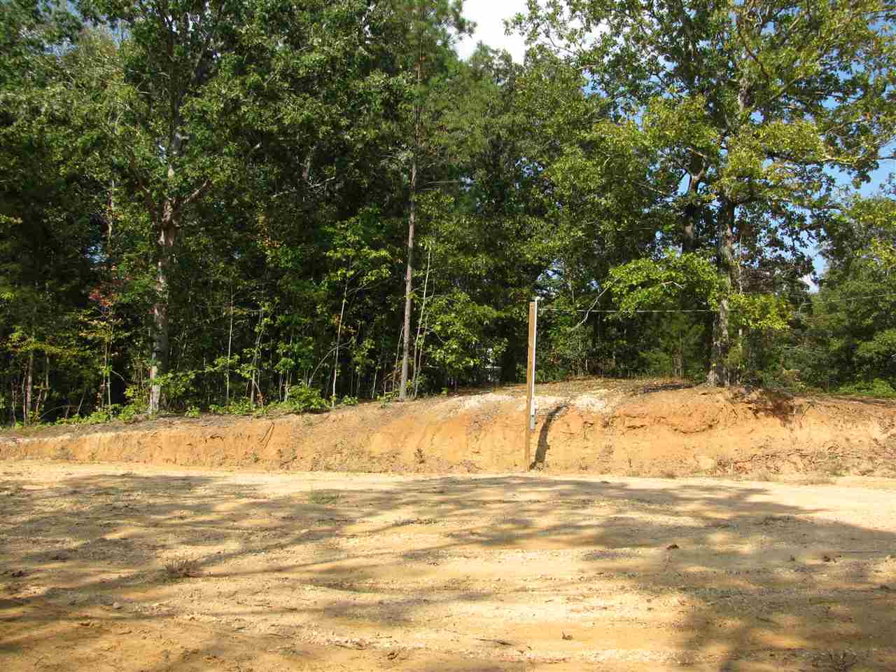 1 Center Point Road North Reagan, TN 38368 - Photo 12 of 22