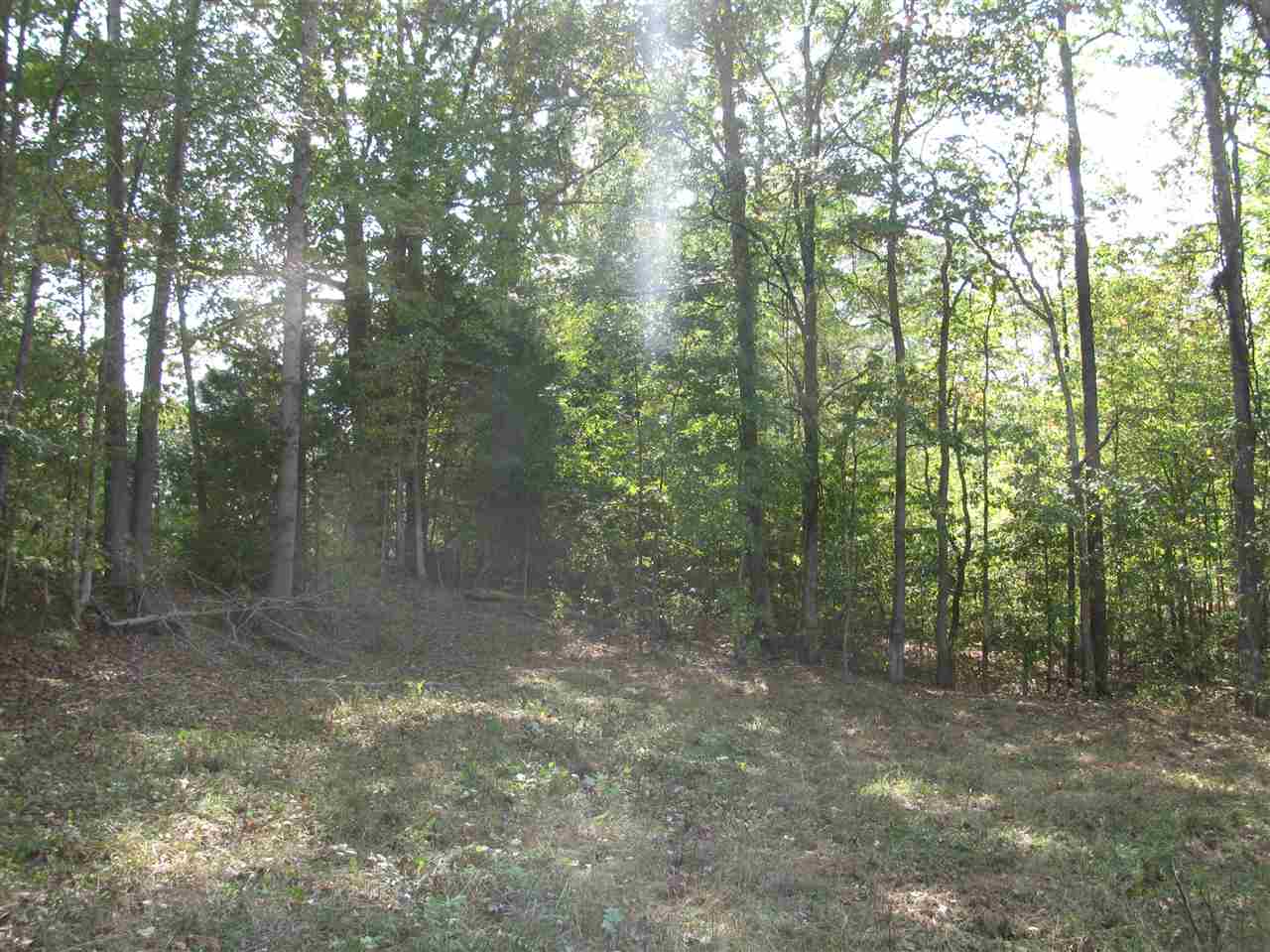 1 Center Point Road North Reagan, TN 38368 - Photo 13 of 22