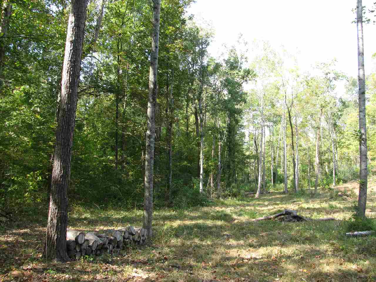 1 Center Point Road North Reagan, TN 38368 - Photo 14 of 22