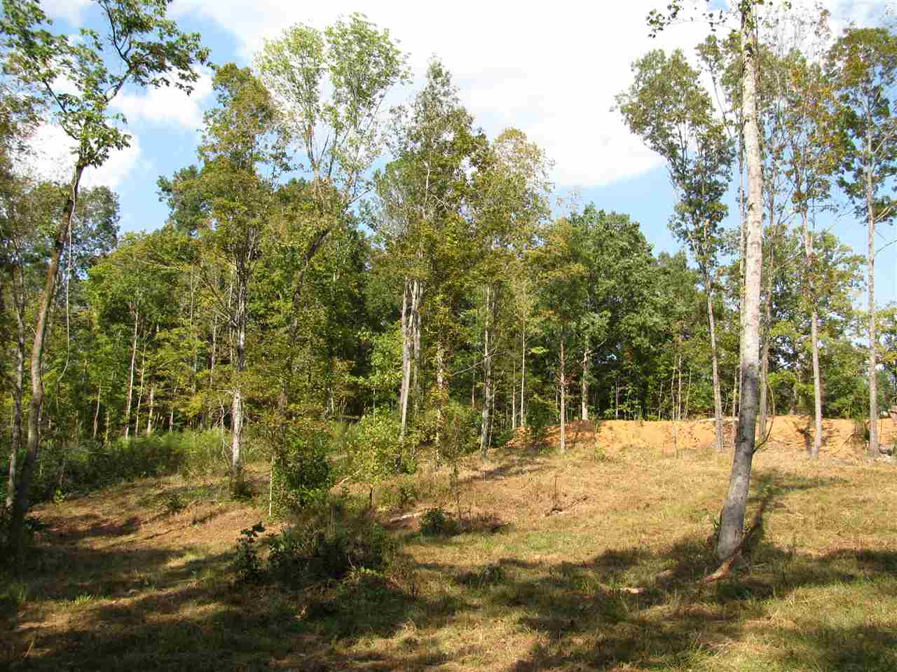 1 Center Point Road North Reagan, TN 38368 - Photo 15 of 22