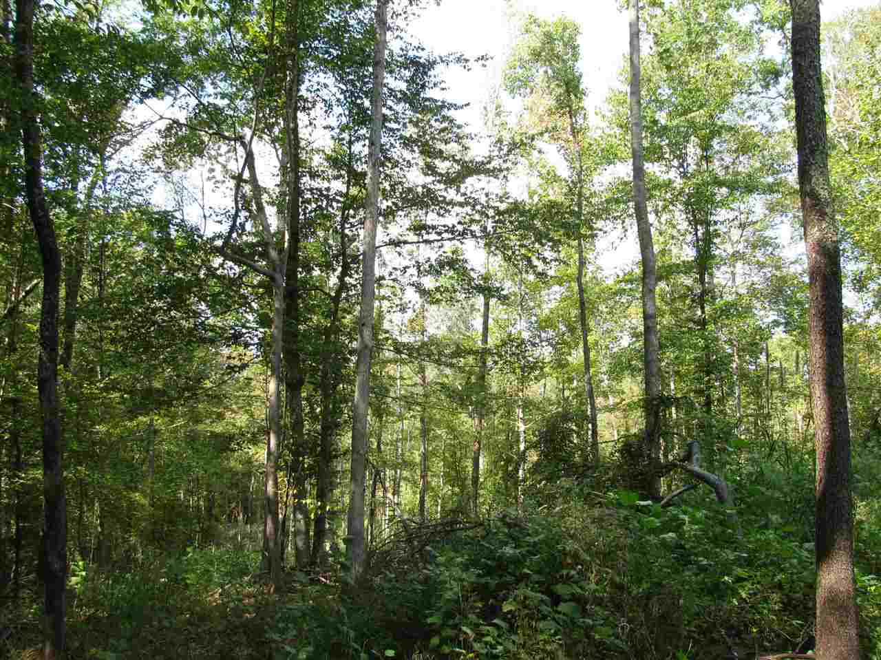 1 Center Point Road North Reagan, TN 38368 - Photo 17 of 22