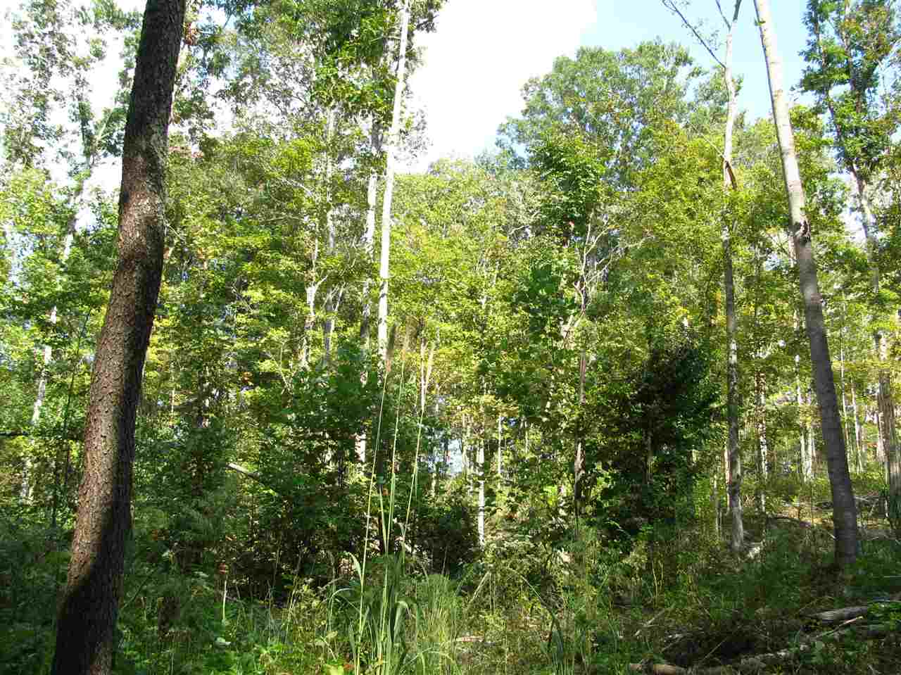 1 Center Point Road North Reagan, TN 38368 - Photo 18 of 22