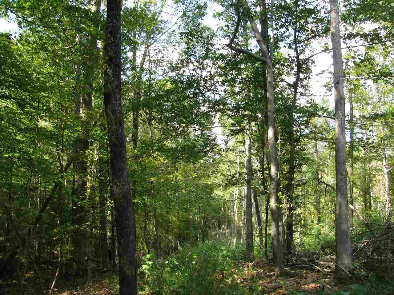 1 Center Point Road North Reagan, TN 38368 - Photo 19 of 22