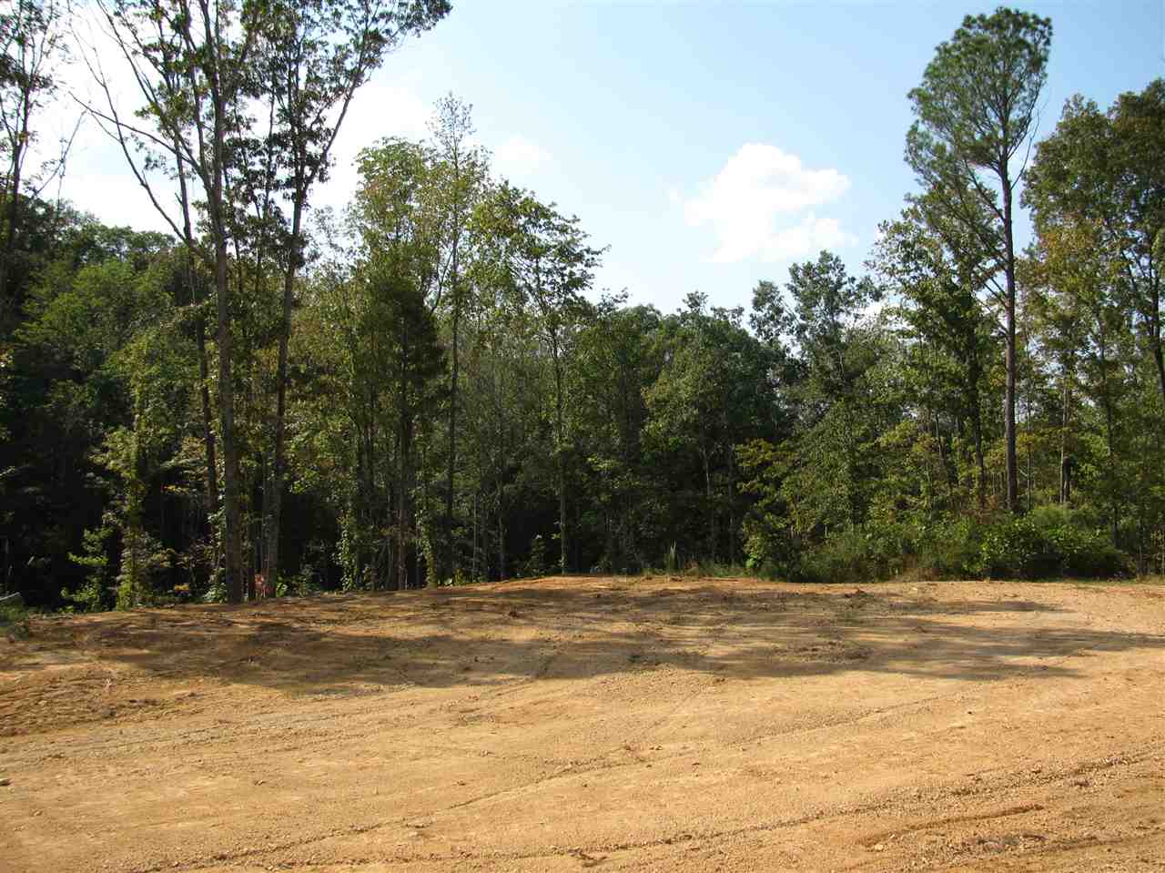 1 Center Point Road North Reagan, TN 38368 - Photo 3 of 22