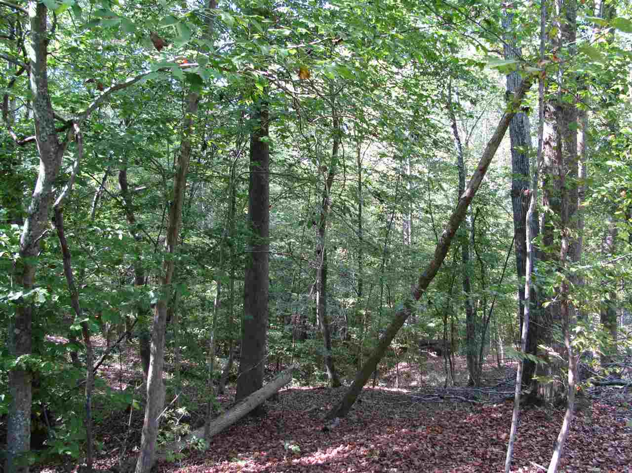 1 Center Point Road North Reagan, TN 38368 - Photo 21 of 22