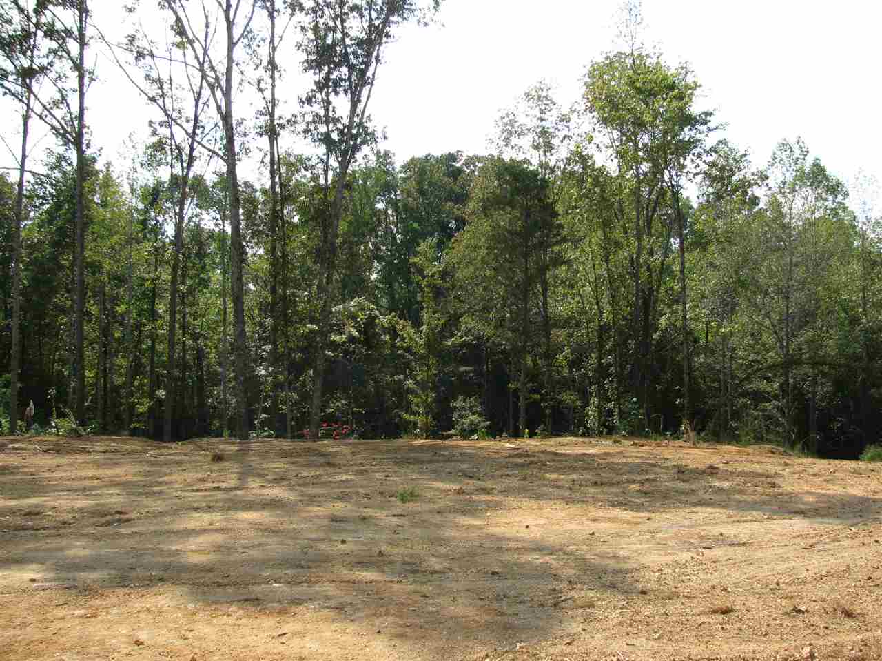 1 Center Point Road North Reagan, TN 38368 - Photo 4 of 22