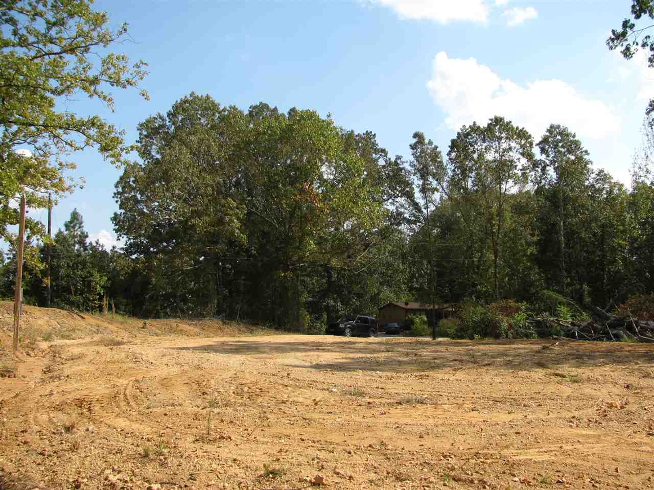 1 Center Point Road North Reagan, TN 38368 - Photo 6 of 22