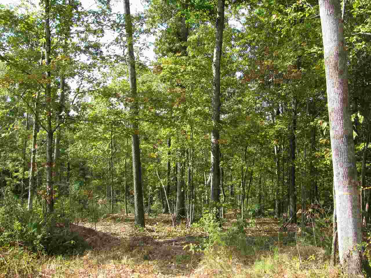 1 Center Point Road North Reagan, TN 38368 - Photo 7 of 22