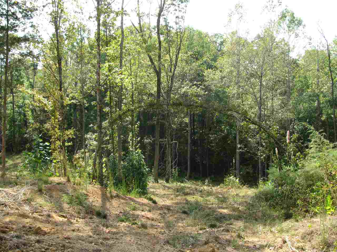 1 Center Point Road North Reagan, TN 38368 - Photo 8 of 22