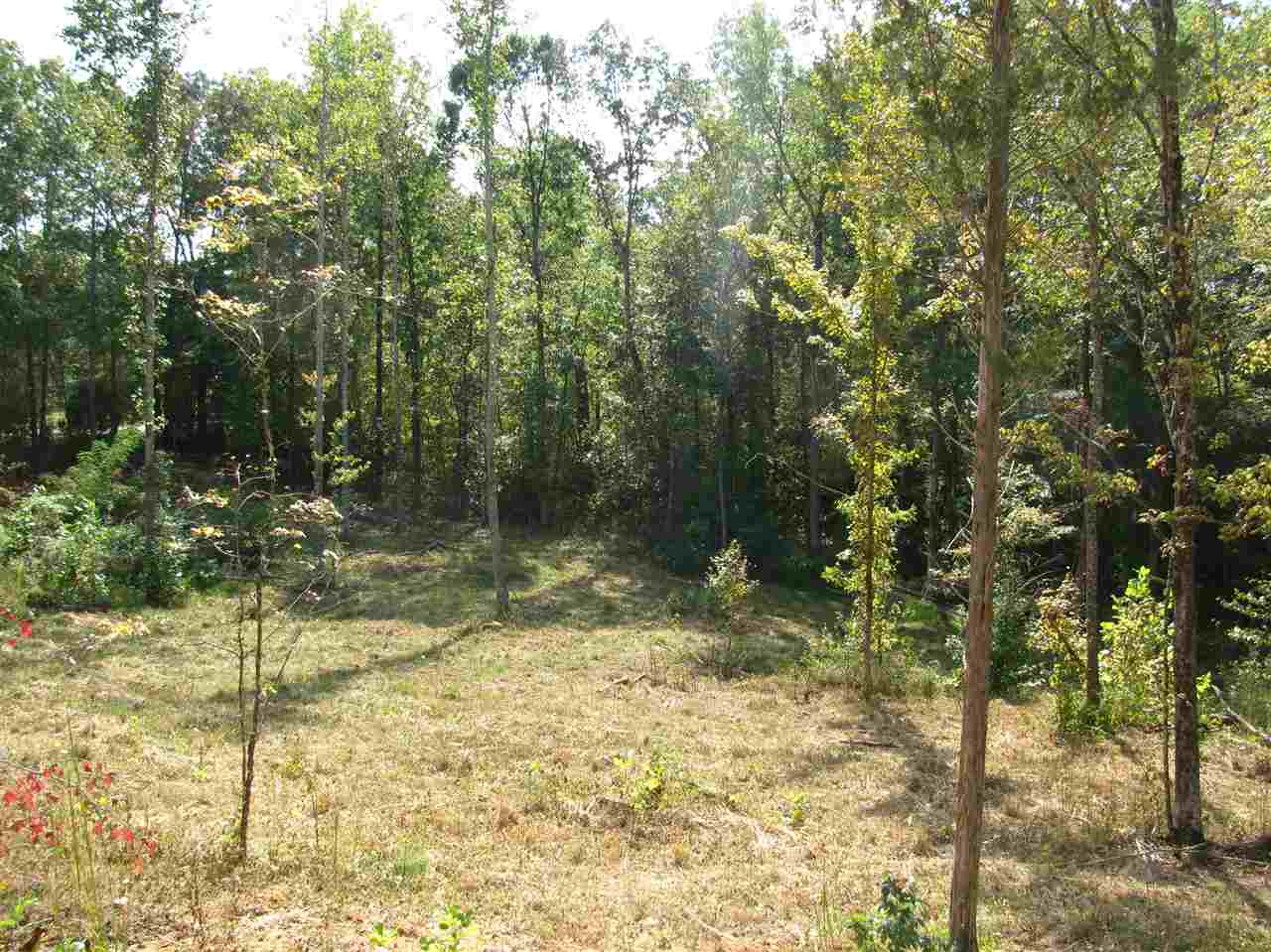1 Center Point Road North Reagan, TN 38368 - Photo 9 of 22