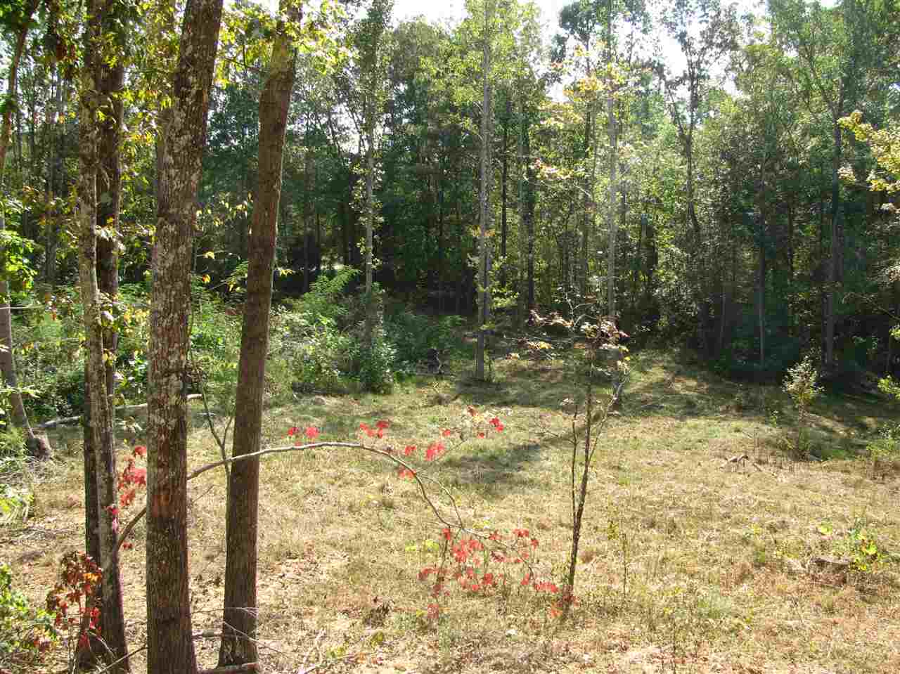 1 Center Point Road North Reagan, TN 38368 - Photo 10 of 22