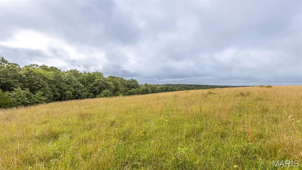 0 Sand Creek Bottom Road Greentop, MO 63546 - Photo 6 of 52