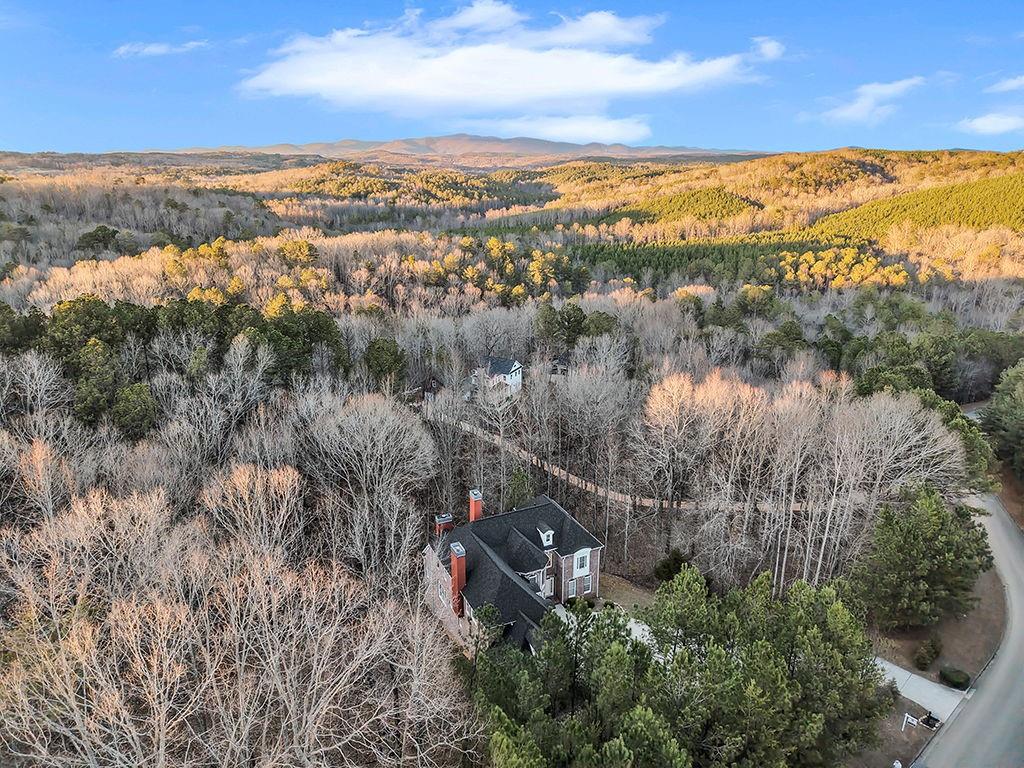 129 Preserve Parkway Ball Ground, GA 30107 - Photo 60 of 76 a view of city and mountain