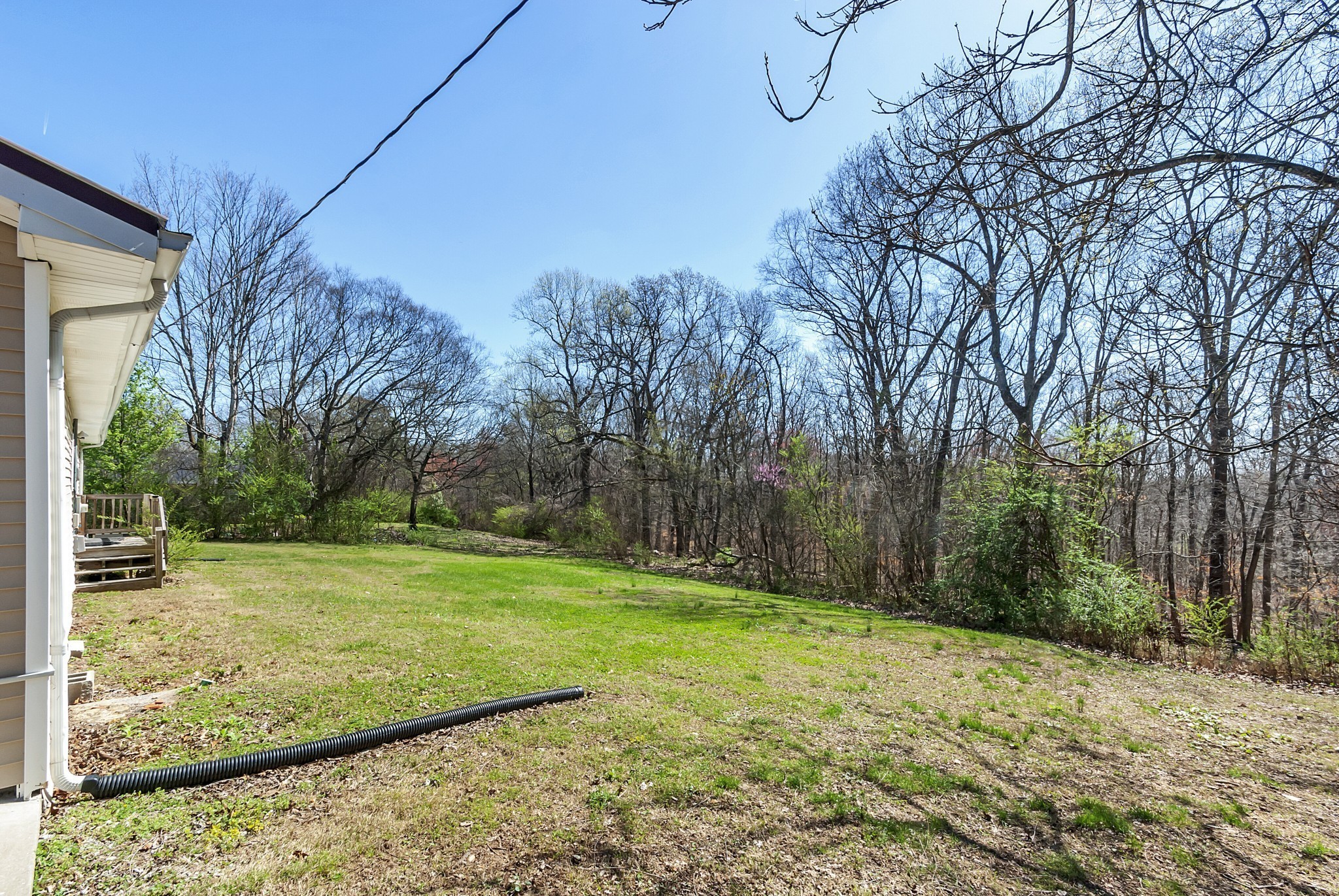 5652 Highway 100 Lyles, TN 37098 - Photo 11 of 21 a view of a yard with trees