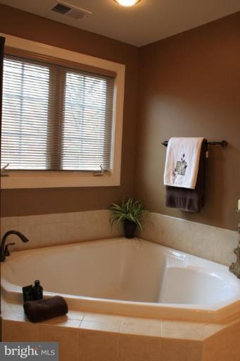 906 West Glebe Road Alexandria, VA 22305 - Photo 5 of 20 Soaking Tub
